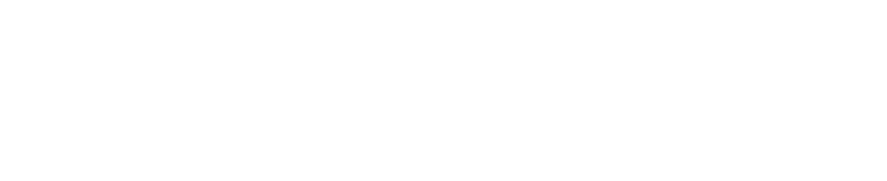 Hungarian Startup University Program